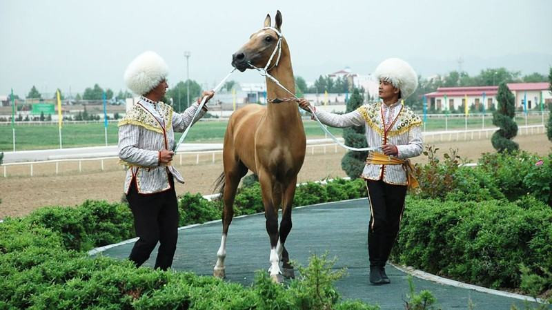 Bash surat - 2022.jpg