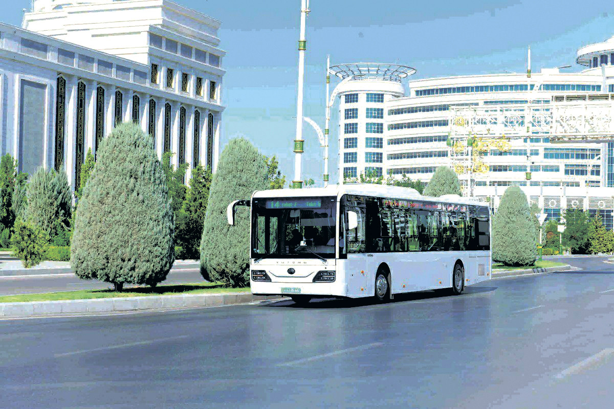 Bash surat - 2022.jpg