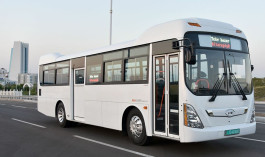168dcc2058ef11.jpeg